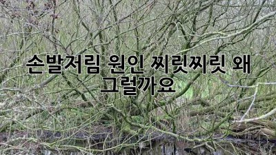 손발저림 원인: 찌릿찌릿, 왜 그럴까요?